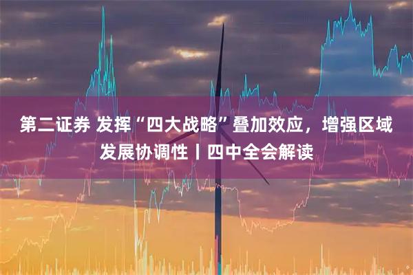 第二证券 发挥“四大战略”叠加效应，增强区域发展协调性丨四中全会解读