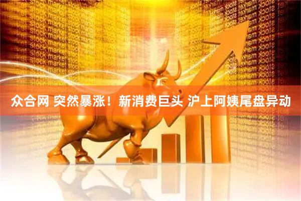 众合网 突然暴涨！新消费巨头 沪上阿姨尾盘异动