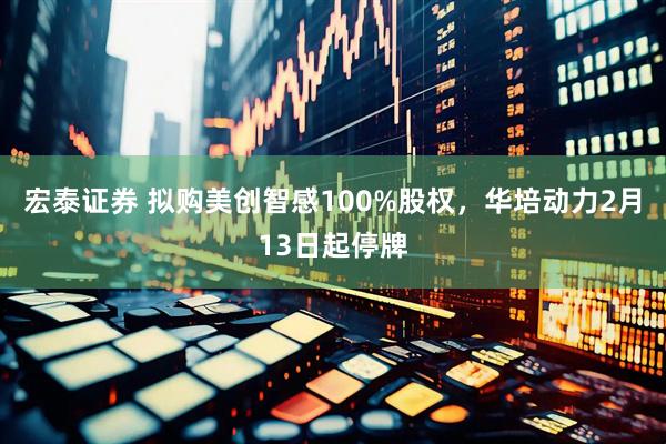 宏泰证券 拟购美创智感100%股权，华培动力2月13日起停牌