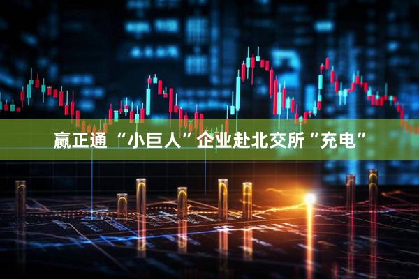 赢正通 “小巨人”企业赴北交所“充电”